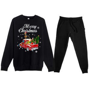 Rottweiler Dog Riding Red Truck Christmas Tree Xmas Dog Funny Gift Premium Crewneck Sweatsuit Set