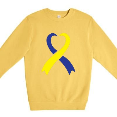 Ribbon Down Syndrome Awareness Gift Premium Crewneck Sweatshirt