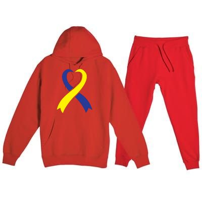 Ribbon Down Syndrome Awareness Gift Premium Hooded Sweatsuit Set