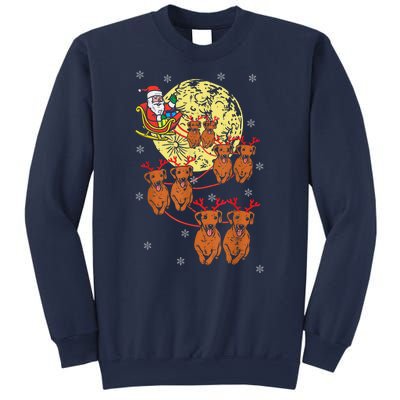 Reindeer Dachshund Santa Christmas Pet Sweatshirt