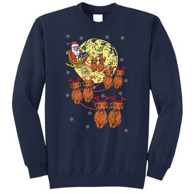 Reindeer Dachshund Santa Christmas Pet Tall Sweatshirt