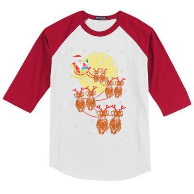 Reindeer Dachshund Santa Christmas Pet Kids Colorblock Raglan Jersey