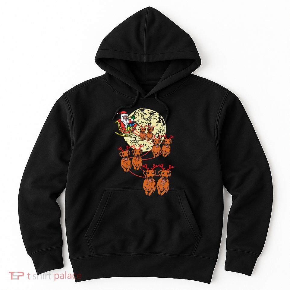 Reindeer Dachshund Santa Christmas Pet Weiner Dog Xmas Pj Hoodie