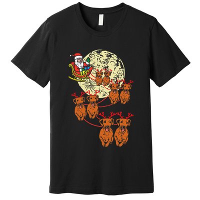 Reindeer Dachshund Santa Christmas Pet Weiner Dog Xmas Pj Premium T-Shirt