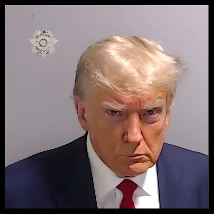 Real Donald Trump Mugshot At Fulton County Sheriffs Office Impact Tech Backpack