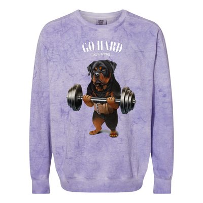 Rottweiler Dog Weightlifting In Fitness Gym Colorblast Crewneck Sweatshirt