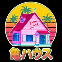 Retro Eighties 80's Anime Kame House Flatbill Hat