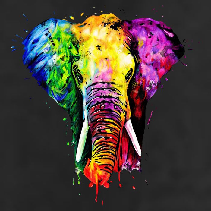 Rainbow Elephant Art Cute Gift 7 Panel Mesh Trucker Snapback Hat