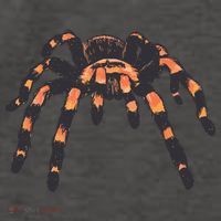 Realistic Tarantula Vector Backpack