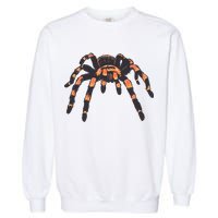 Realistic Tarantula Garment-Dyed Sweatshirt