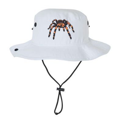 Realistic Tarantula Bucket Hat
