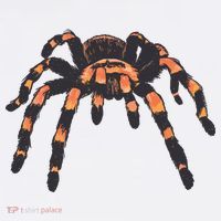Realistic Tarantula Mug