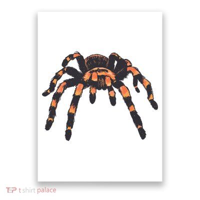 Realistic Tarantula Poster