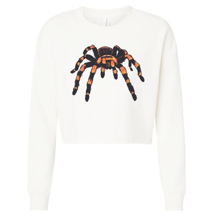 Realistic Tarantula Cropped Pullover Crew