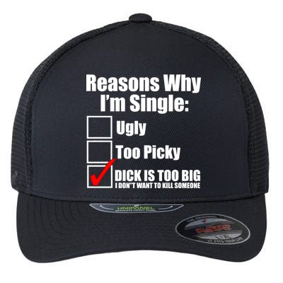 Reasons Why Im Single Ugly Picky Dick Too Big Mens Funny Flexfit Unipanel Trucker Cap