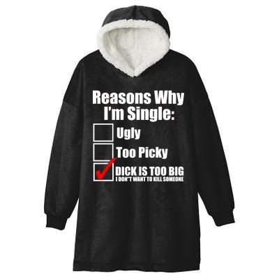 Reasons Why Im Single Ugly Picky Dick Too Big Mens Funny Hooded Wearable Blanket