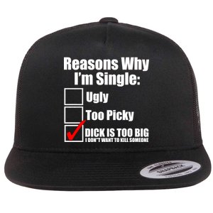 Reasons Why Im Single Ugly Picky Dick Too Big Mens Funny Flat Bill Trucker Hat