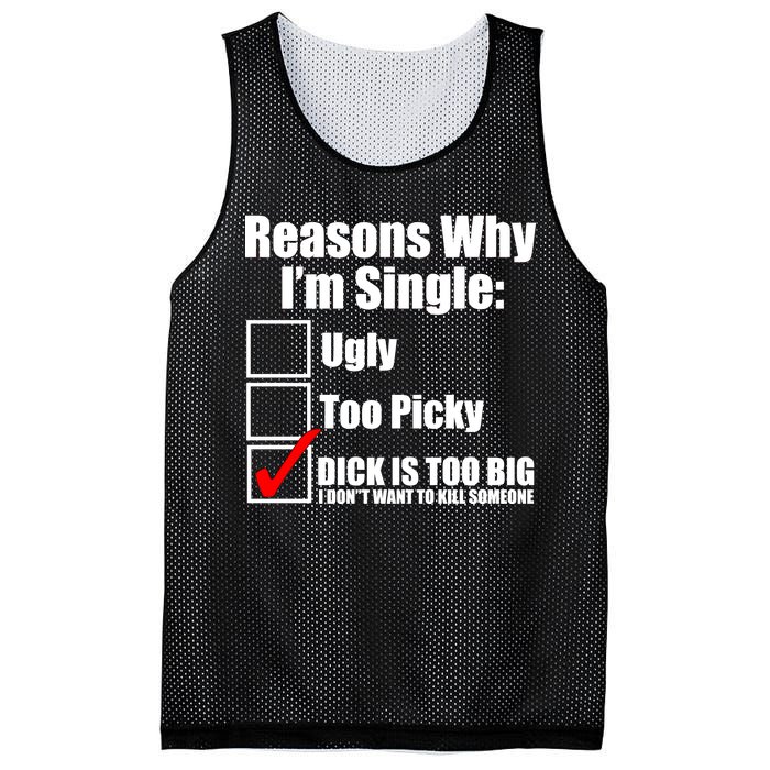 Reasons Why Im Single Ugly Picky Dick Too Big Mens Funny Mesh Reversible Basketball Jersey Tank