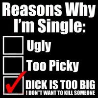 Reasons Why Im Single Ugly Picky Dick Too Big Mens Funny Womens T-Shirt