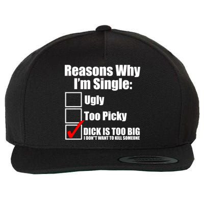 Reasons Why Im Single Ugly Picky Dick Too Big Mens Funny Wool Snapback Cap