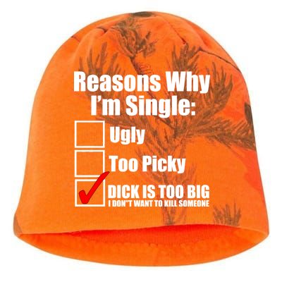 Reasons Why Im Single Ugly Picky Dick Too Big Mens Funny Kati - Camo Knit Beanie