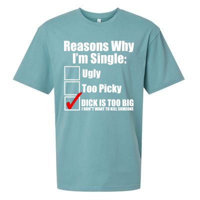 Reasons Why Im Single Ugly Picky Dick Too Big Mens Funny Sueded Cloud Jersey T-Shirt