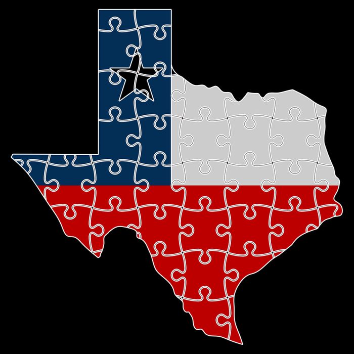 Rebuilding Texas Jigsaw 7-Panel Snapback Hat