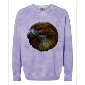 Realistic Eagle Close Up Colorblast Crewneck Sweatshirt