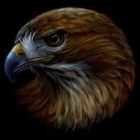 Realistic Eagle Close Up 16oz Travel Tumbler