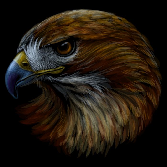 Realistic Eagle Close Up 16oz Travel Tumbler