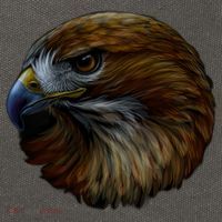 Realistic Eagle Close Up Cotton Canvas Backpack