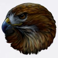 Realistic Eagle Close Up Flatbill Hat
