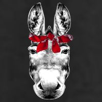 Red Bandanna Gangster Donkey Trucker Hat