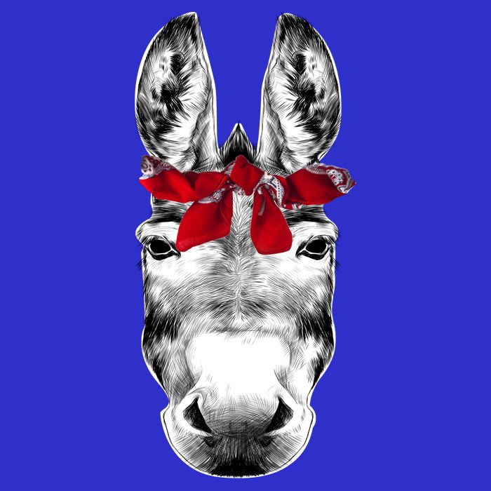 Red Bandanna Gangster Donkey Poster