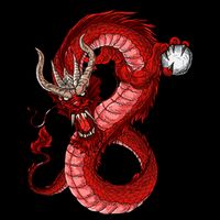 Red Dragon Kids Hoodie