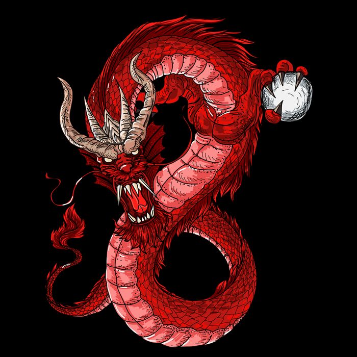 Red Dragon Kids Hoodie