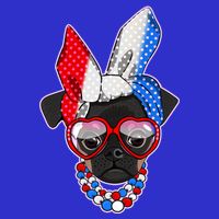 Red White And Blue Hipster Pug Hoodie