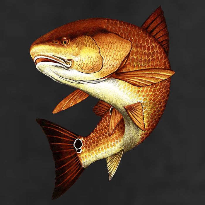 Redfish Swim Adult Drive Performance Visor