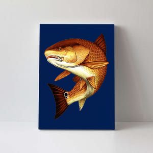 Redfish Swim Canvas