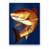 Redfish Swim Poster