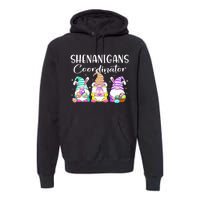 Rabbit Eggs Hunting Shenanigans Bunny Gnome Premium Hoodie