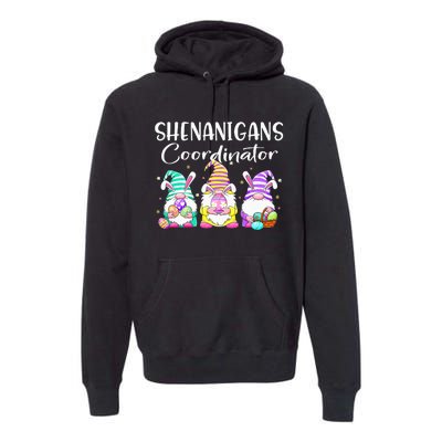 Rabbit Eggs Hunting Shenanigans Bunny Gnome Premium Hoodie