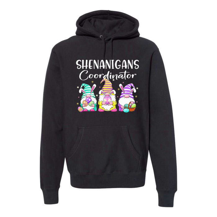 Rabbit Eggs Hunting Shenanigans Bunny Gnome Premium Hoodie