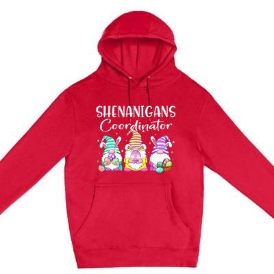 Rabbit Eggs Hunting Shenanigans Bunny Gnome Premium Pullover Hoodie