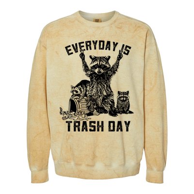 Raccoon Everyday Is Trash Day Colorblast Crewneck Sweatshirt