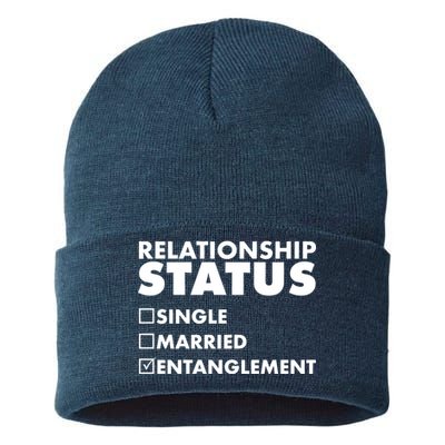 Relationship Status Entanglement Sustainable Knit Beanie