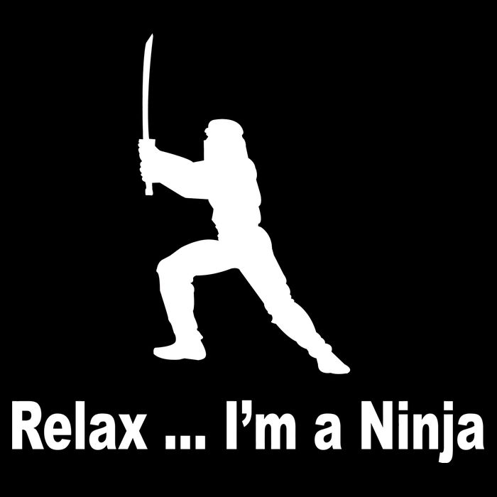 Relax I'm A Ninja Pom Pom 12in Knit Beanie