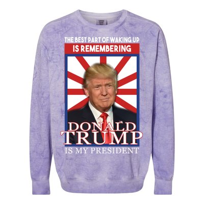 Remembering Donald Trump Is My President Colorblast Crewneck Sweatshirt