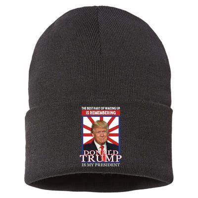 Remembering Donald Trump Is My President Sustainable Knit Beanie