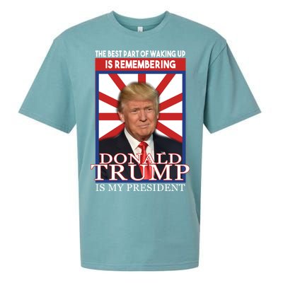 Remembering Donald Trump Is My President Sueded Cloud Jersey T-Shirt